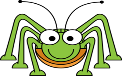 عنکبوت